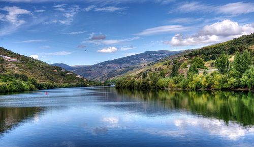 Scenic view of lake by trees against sky