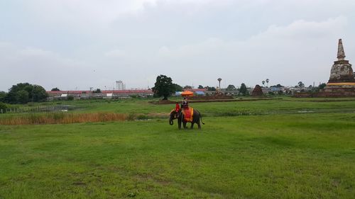 Side view of men on field against sky