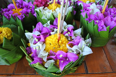 High angle view of purple tulips