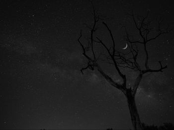 Low angle view of bare tree against sky at night