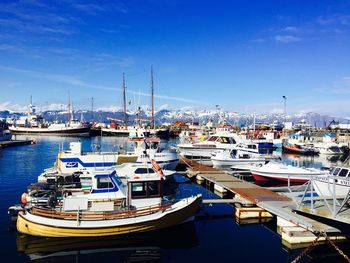 Boats moored at harbor