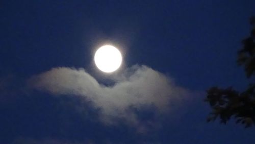 Low angle view of moon in sky