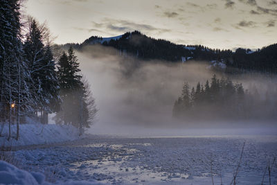 Scenic view of snow covered land and trees against sky