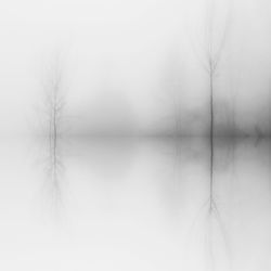 Bare tree by lake against sky during winter