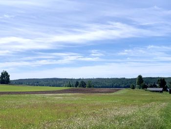 Scenic view of agricultural field against sky