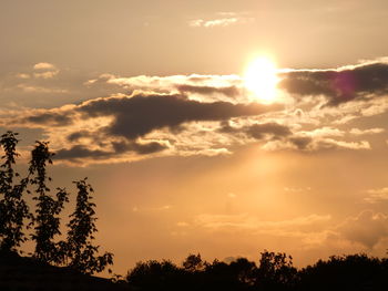 Low angle view of silhouette trees against sky during sunset