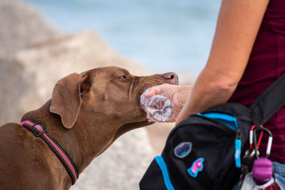 Midsection of man with dog