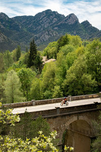 Road by trees and mountains