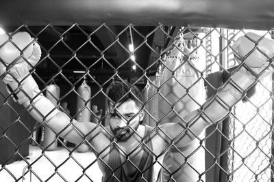 Boxer seen through chainlink fence