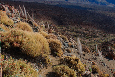 View of mountain landscape