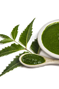 Close-up of green leaves against white background