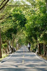 Rear view of people walking on footpath amidst trees in city