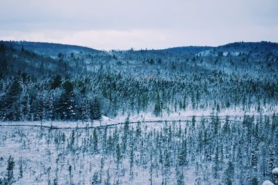 Scenic view of mountains against sky during winter