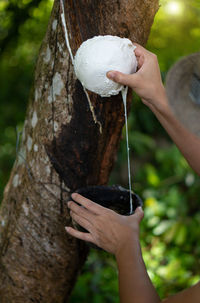 Cropped hand of person holding mushroom