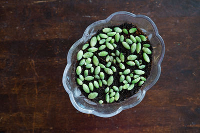 High angle view of vegetables in bowl on table