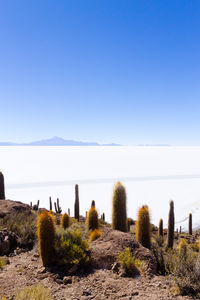 Scenic view of sea against clear blue sky