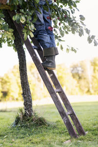 Man on tree trunk in field