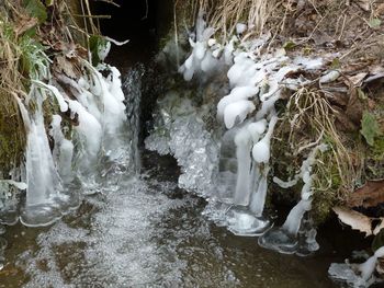 Scenic view of waterfall