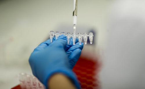 Cropped hand of scientist examining chemicals at laboratory