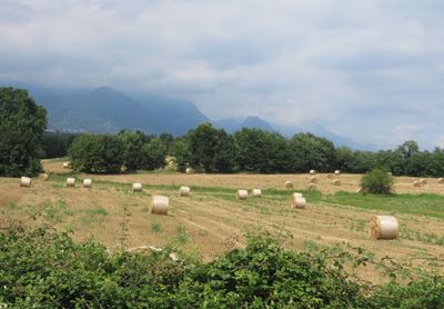 Hay bales on field against sky