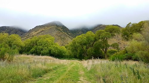 Scenic view of field against sky