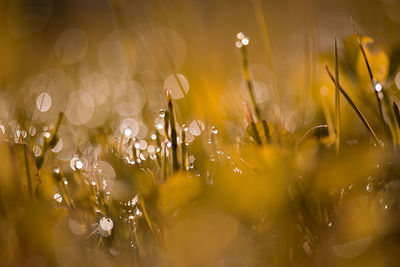 Full frame shot of raindrops on glass