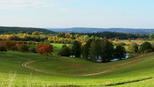 Scenic view of field against sky