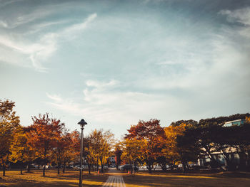 Trees in park against sky during autumn