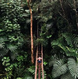 Rear view of shirtless man on footbridge in forest