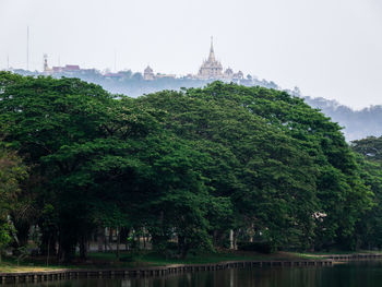 View of trees and building against sky