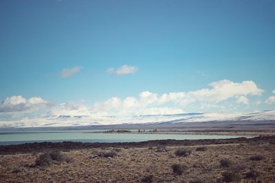 Scenic view of beach against blue sky