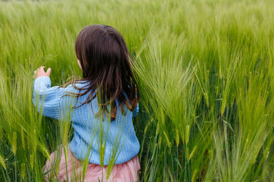 Back view of small child in blue sweater running in a field of wheat