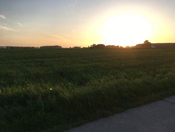 Scenic view of field against sky during sunset