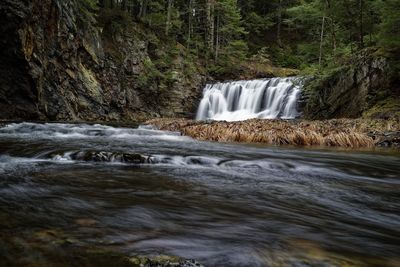 View of waterfall in forest