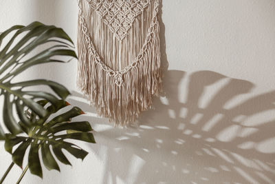 Close-up of tropical house plant and wall macrame