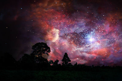 Firework display over silhouette trees against sky at night