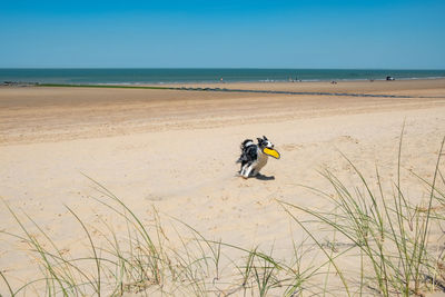 Man surfing on beach against sky