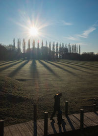 Scenic view of field against sky during sunset