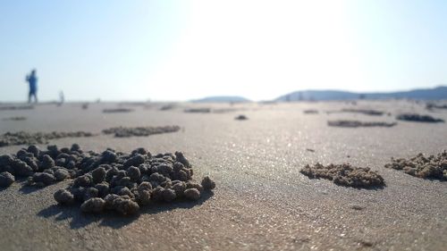 Close-up of sand on beach against clear sky