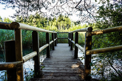 View of wooden footbridge in forest