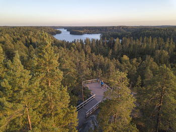 High angle view of road amidst trees in forest against sky