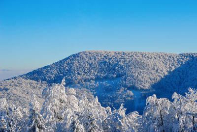 Scenic view of snowcapped mountains against clear blue sky