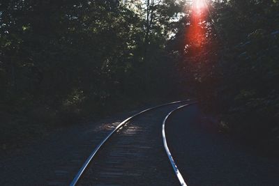 Road amidst trees