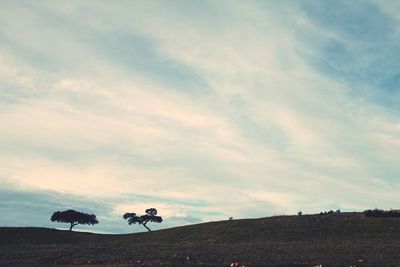 Scenic view of landscape against cloudy sky