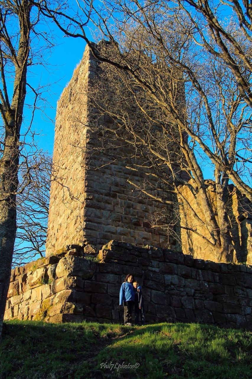 architecture, built structure, building exterior, low angle view, tree, bare tree, house, clear sky, blue, old, sunlight, day, sky, branch, shadow, outdoors, stone wall, wood - material, weathered, wall - building feature