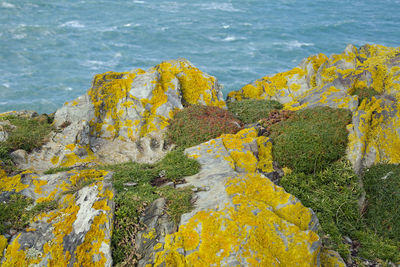 High angle view of yellow sea by rock formation