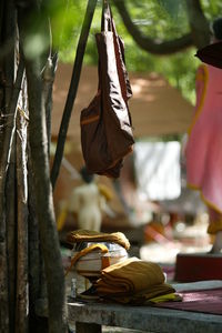 Close-up of dry leaf hanging from for sale