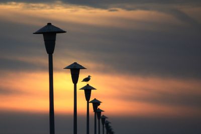 Silhouette street light against sky during sunset