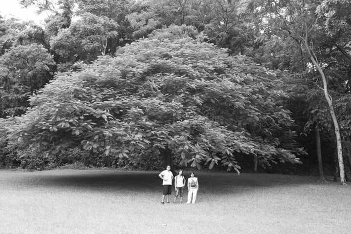 tree, growth, rear view, tranquility, nature, full length, tranquil scene, relaxation, day, sitting, park - man made space, bench, plant, outdoors, beauty in nature, chair, men, sunlight, person