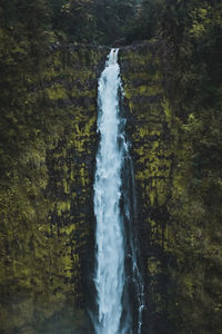 View of waterfall in forest